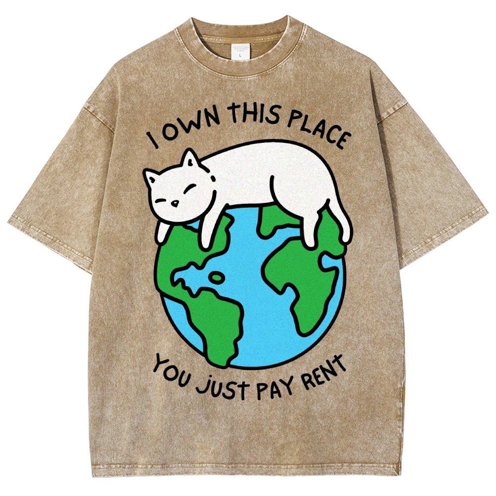 I Own This Place Vintage Distressed T-shirt
