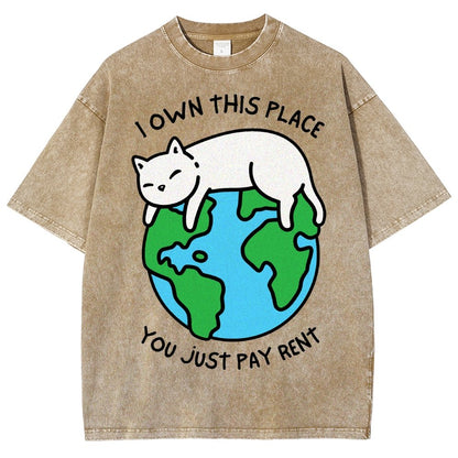 I Own This Place Vintage Distressed T-shirt