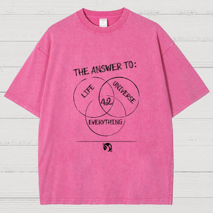 Diagram Of Everything Vintage Distressed T-shirt