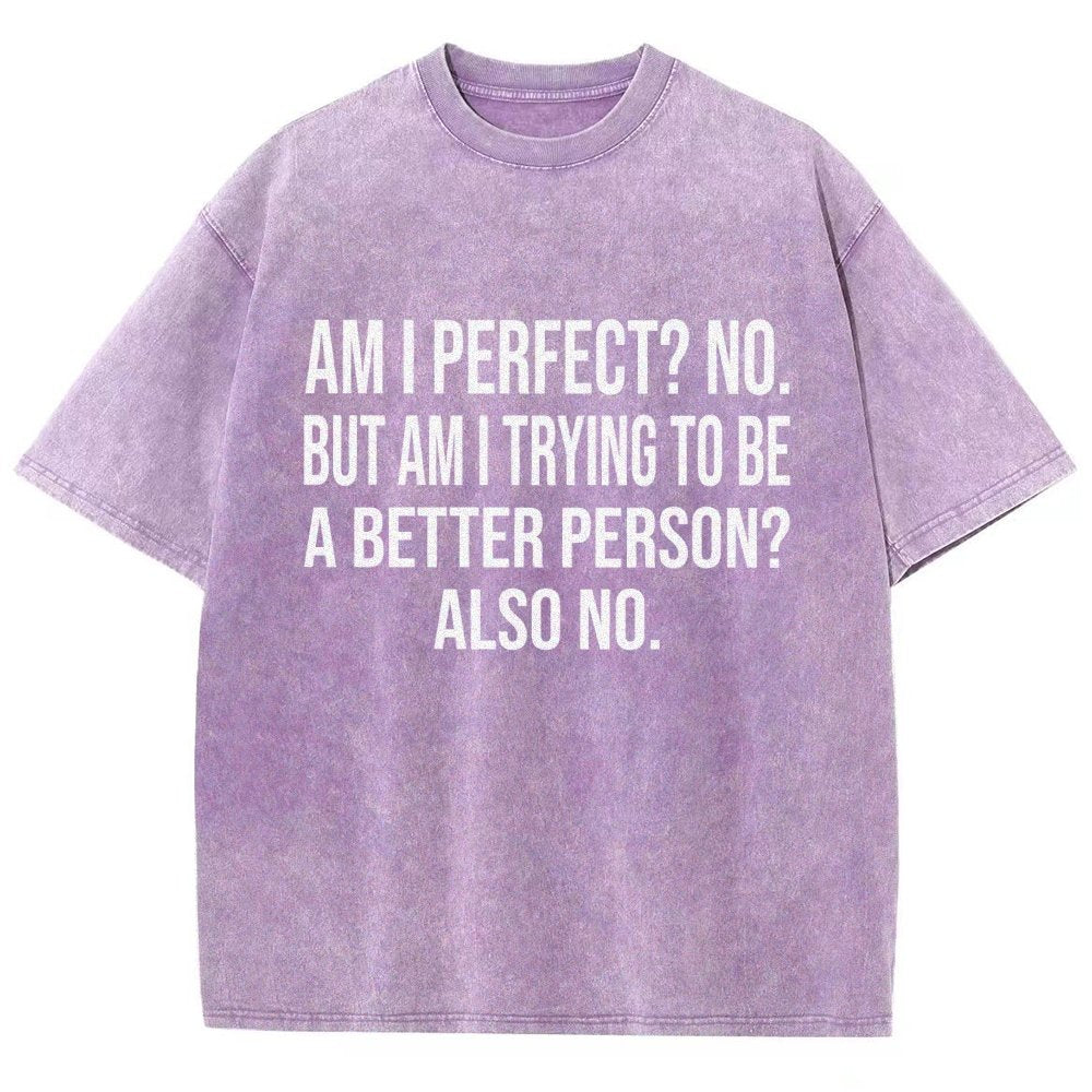 Am I Perfect No But Am I Trying To Be A Better Person Also No Vintage Distressed T-shirt