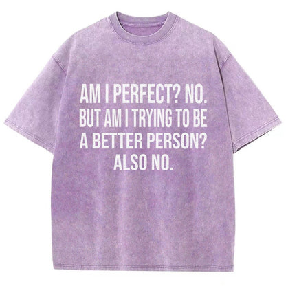 Am I Perfect No But Am I Trying To Be A Better Person Also No Vintage Distressed T-shirt