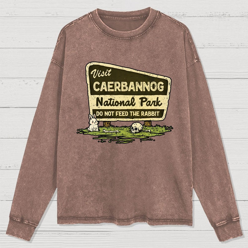 Mystic National Park Washed Long Sleeve Tee