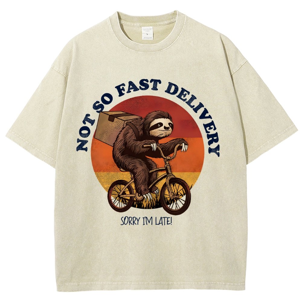 Not So Express Delivery Vintage Distressed T-shirt