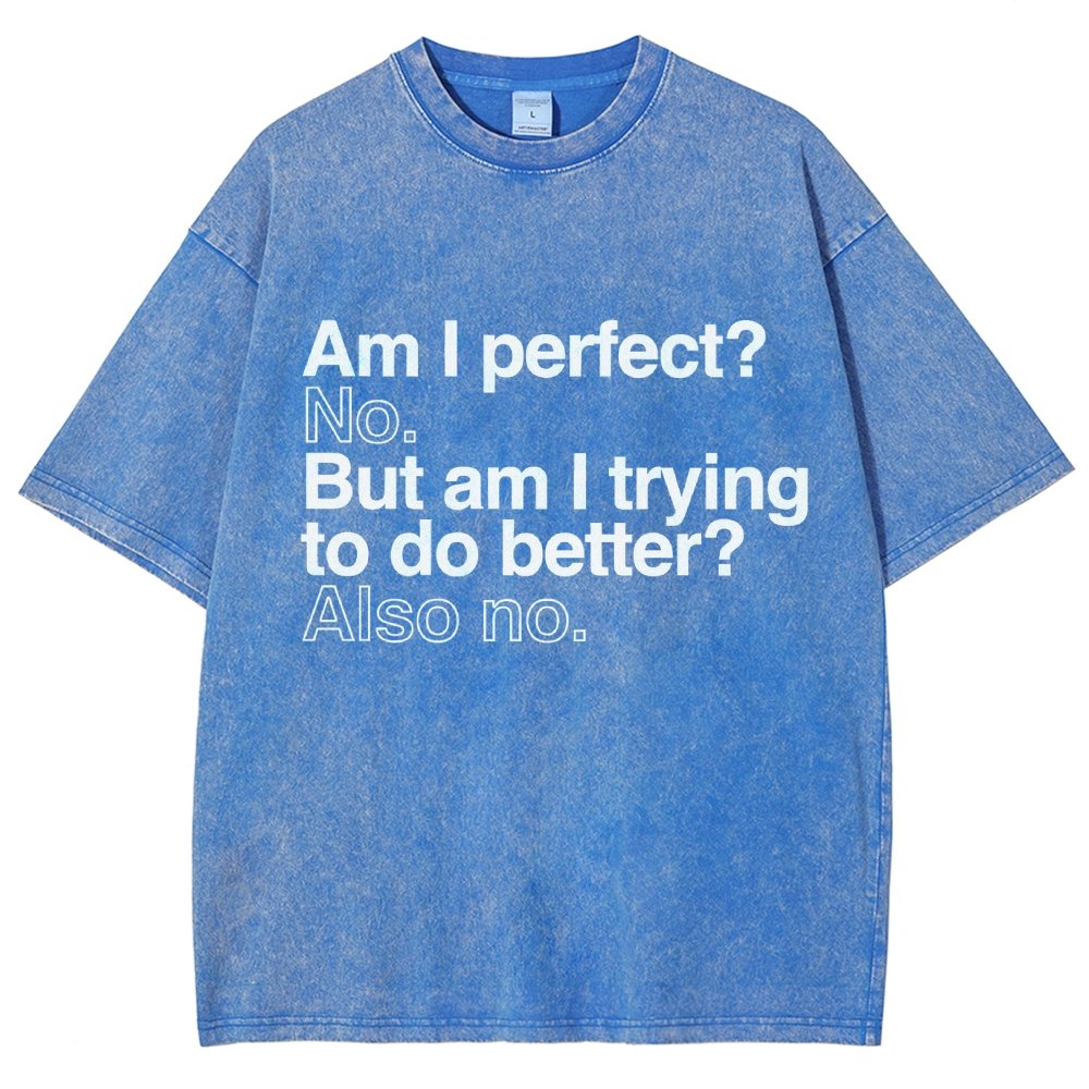 Am I Perfect? No. Am I Trying To Be Better Person Vintage Distressed T-shirt