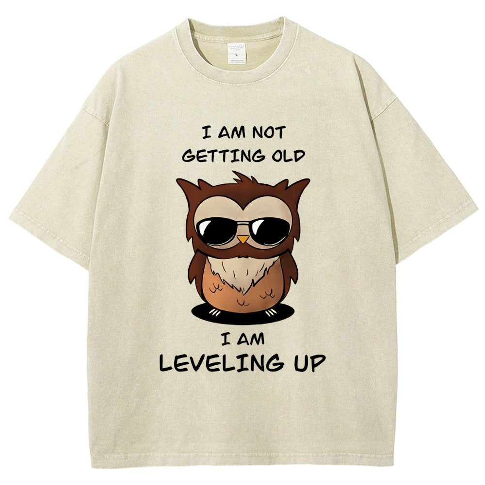 Leveling Up Vintage Distressed T-shirt