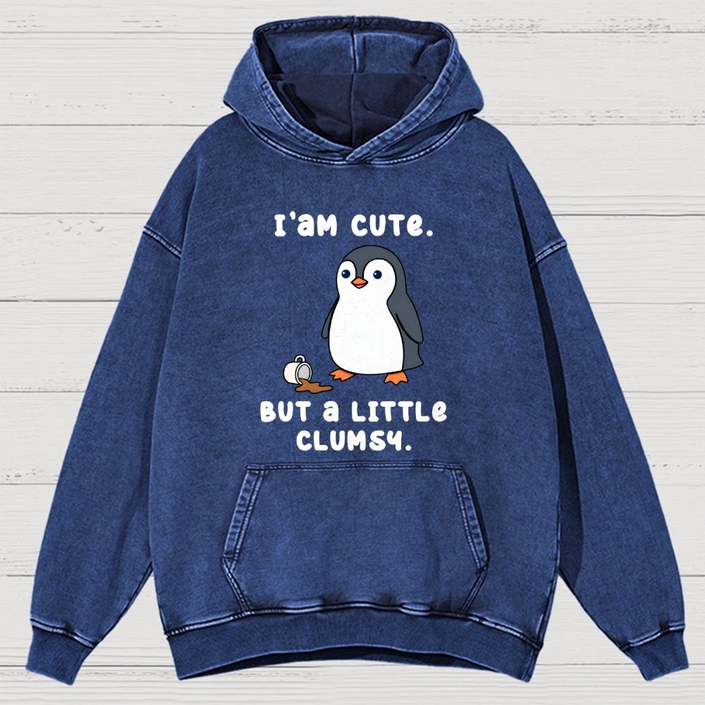 Little Clumsy Vintage Distressed Hoodie