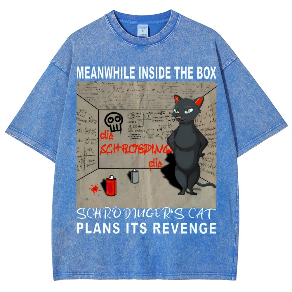 Inside The Box：Schrödingers Cat Plans Its Revenge Vintage Distressed T-shirt