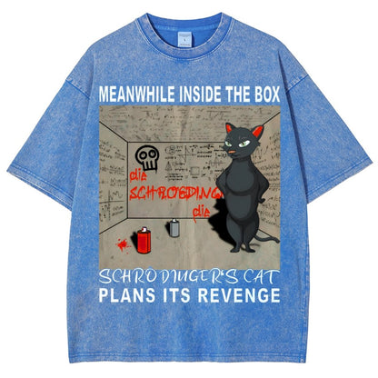 Inside The Box：Schrödingers Cat Plans Its Revenge Vintage Distressed T-shirt