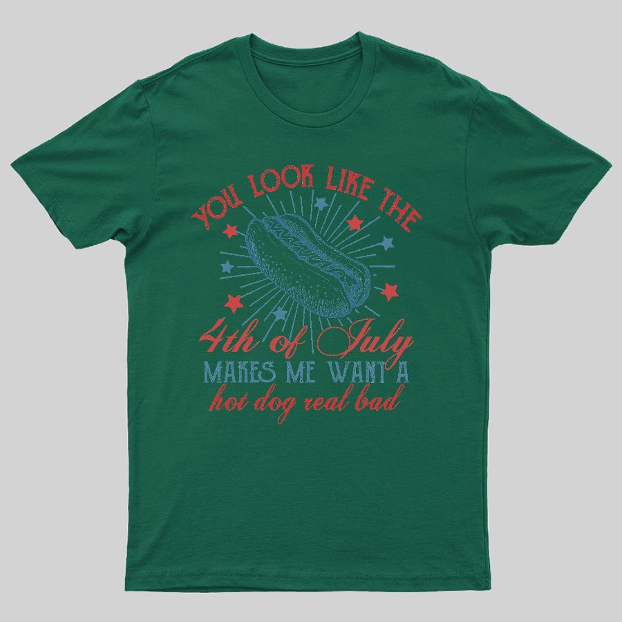 You Look Like the 4th of July Geeky T-Shirt