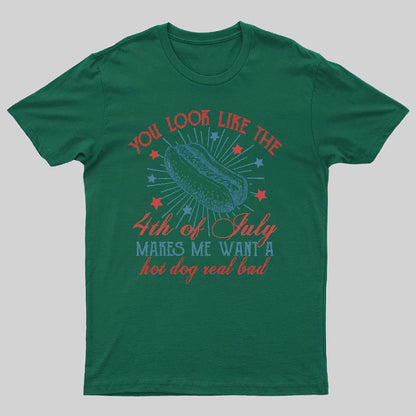 You Look Like the 4th of July Geeky T-Shirt