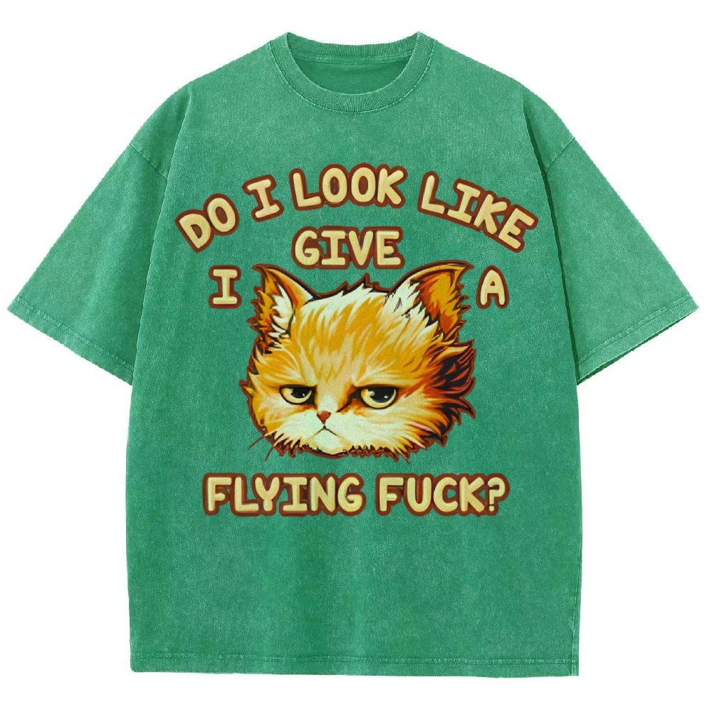Do I Look Like I Give A Flying Fvck Vintage Distressed T-shirt