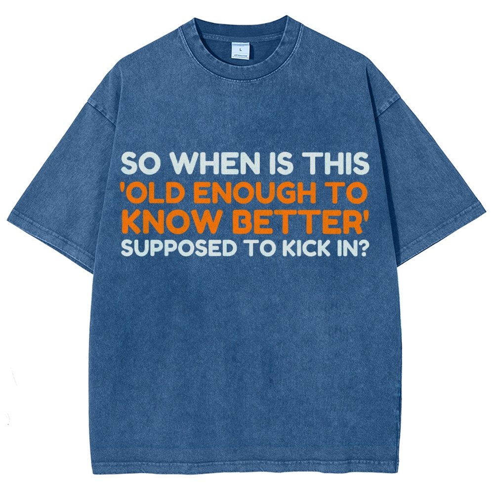 Old Enough To Know Better Vintage Distressed T-shirt