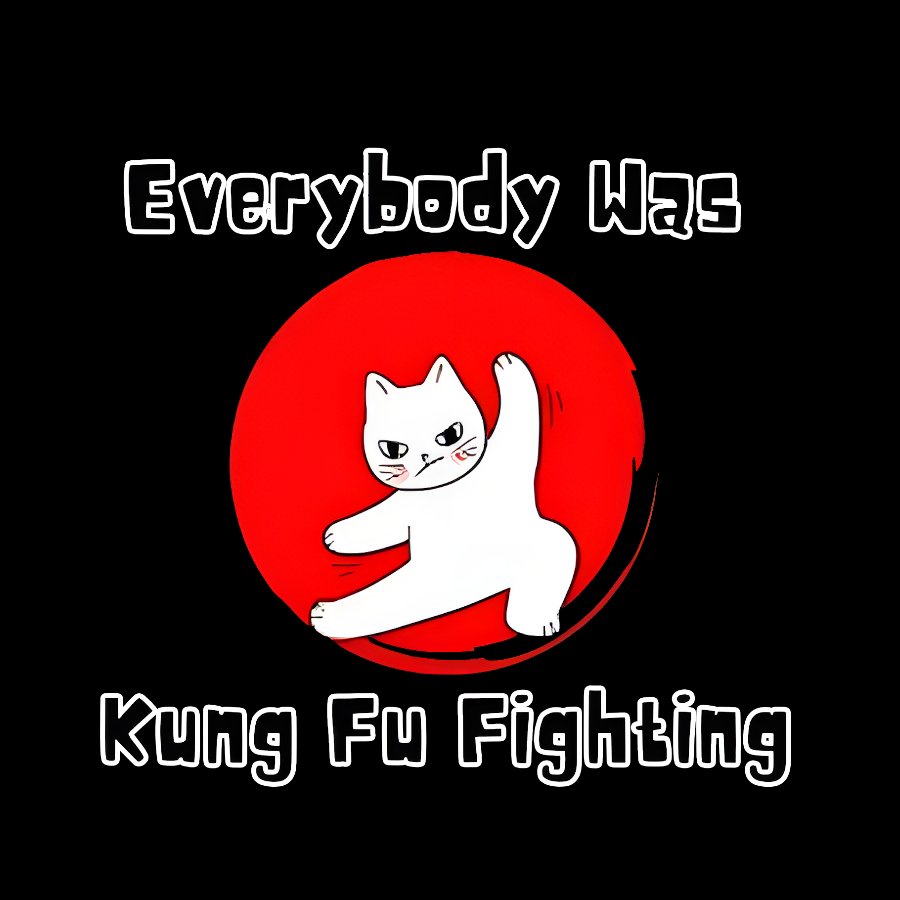 Everybody Was Kung Fu Fighting Geek T-Shirt