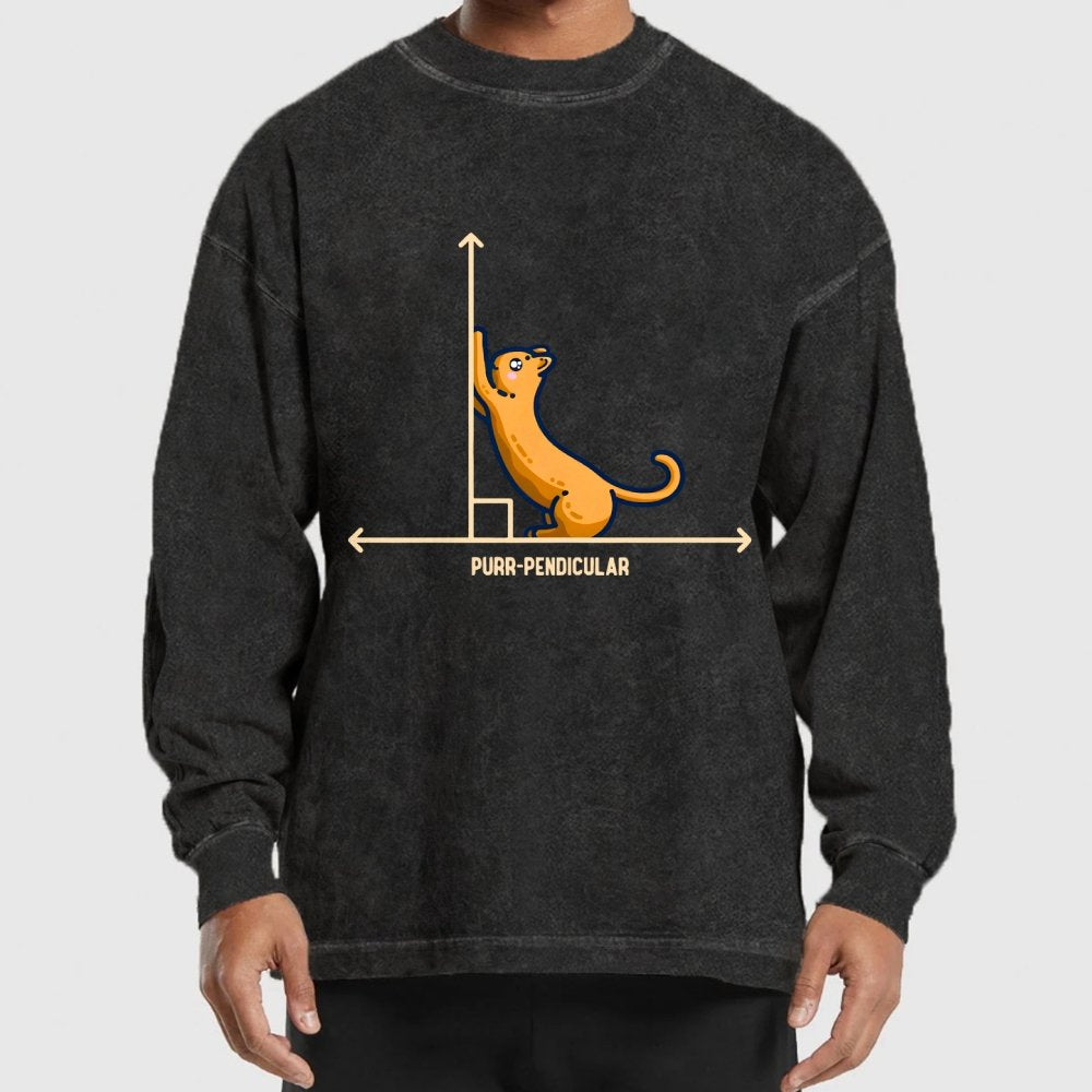 Purr-Pendicular Cute Maths Cat Premium Washed Long Sleeve Tee