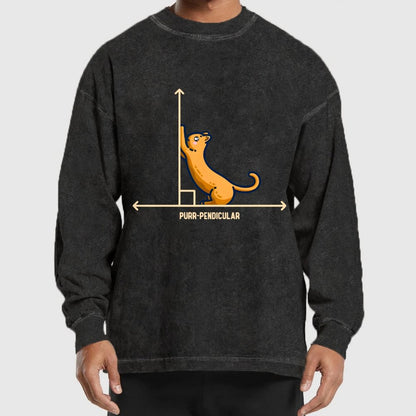 Purr-Pendicular Cute Maths Cat Premium Washed Long Sleeve Tee