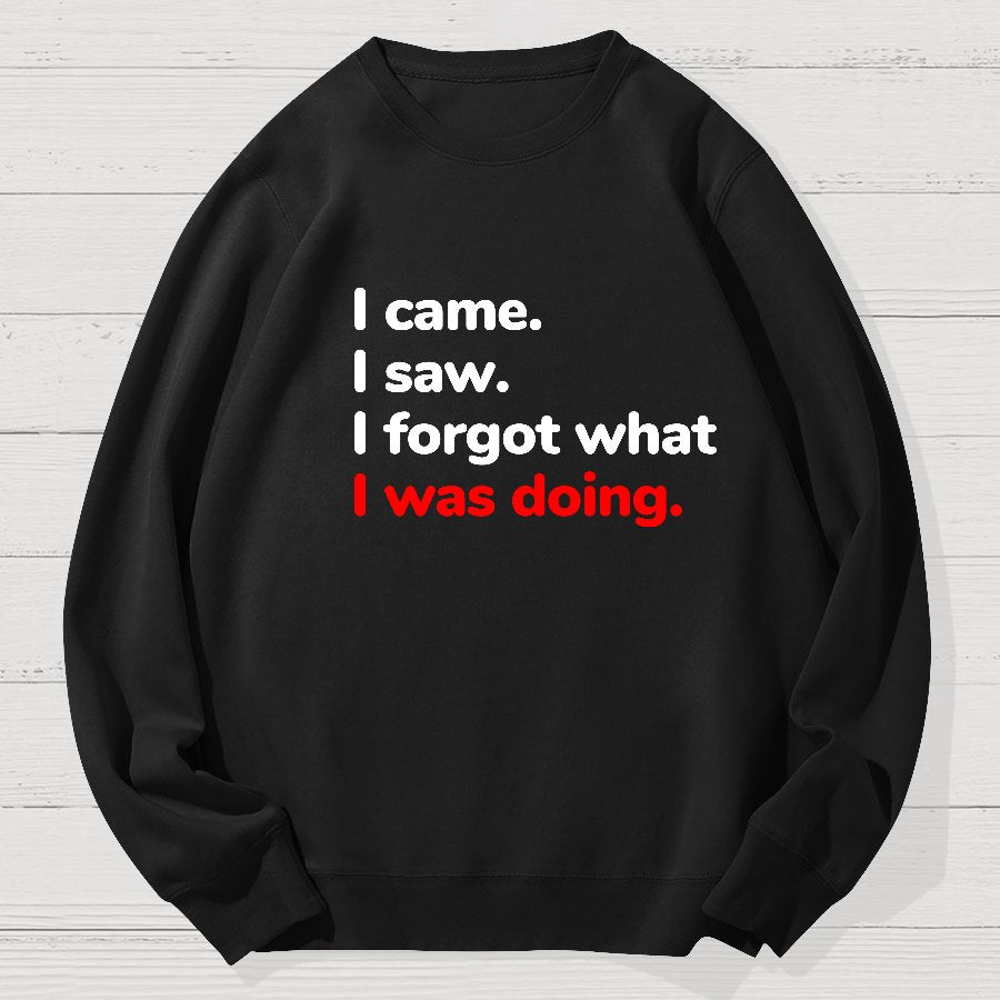 I Came. I Saw. I Forgot What I Was Doing Geek Cotton Sweatshirt