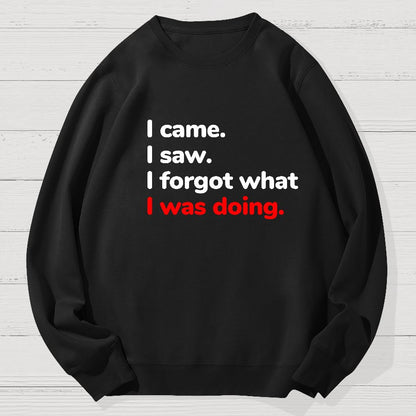 I Came. I Saw. I Forgot What I Was Doing Geek Cotton Sweatshirt
