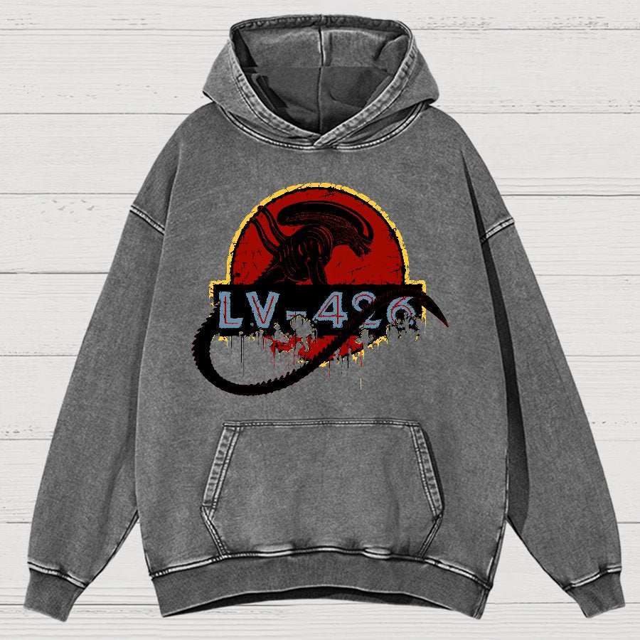 Unknown-426 Vintage Distressed Hoodie