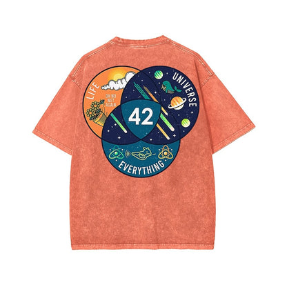 42 Answer to Life Universe and Everything Essential Washed T-shirt
