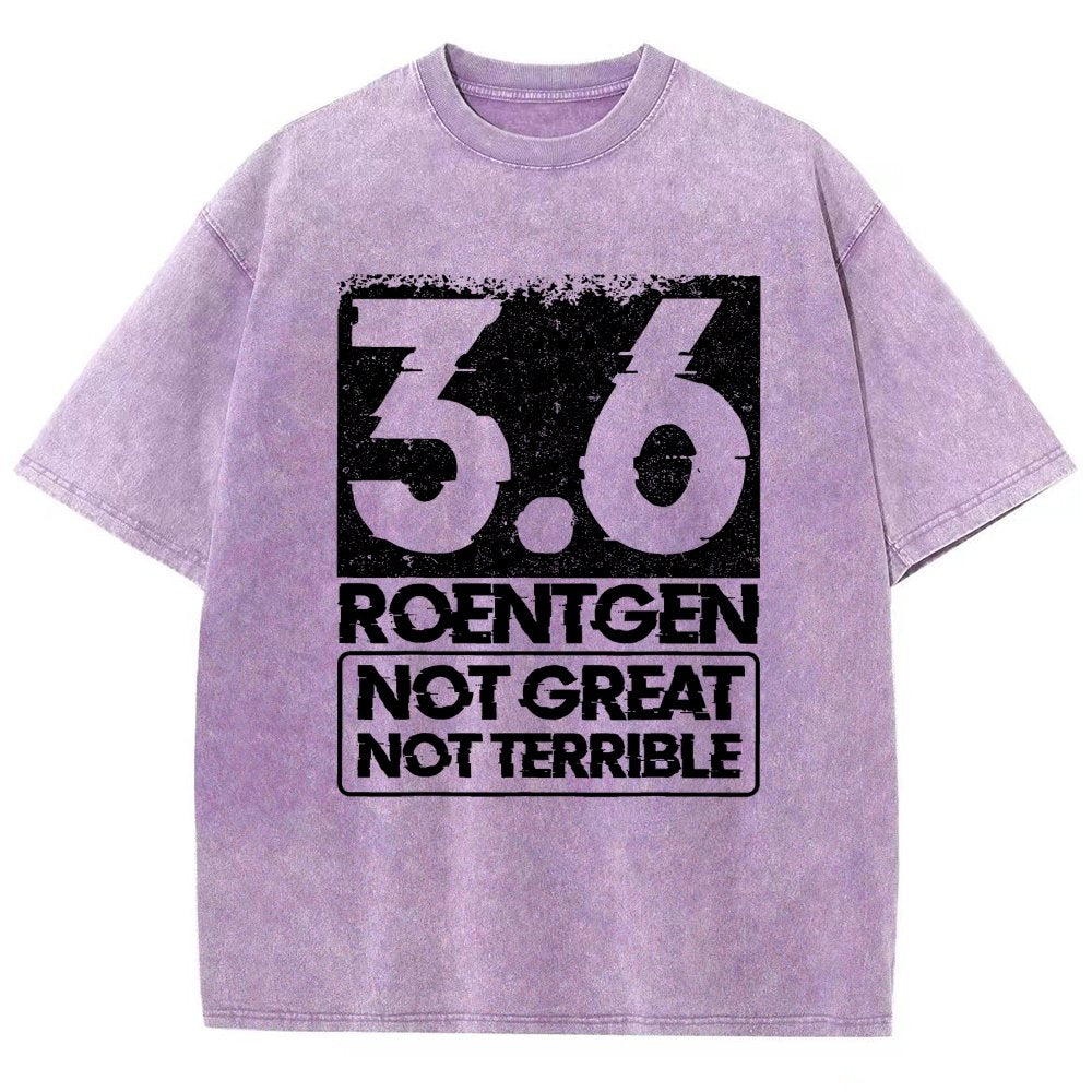 3.6 Roentgen Not Great Not Terrible Vintage Distressed T-shirt