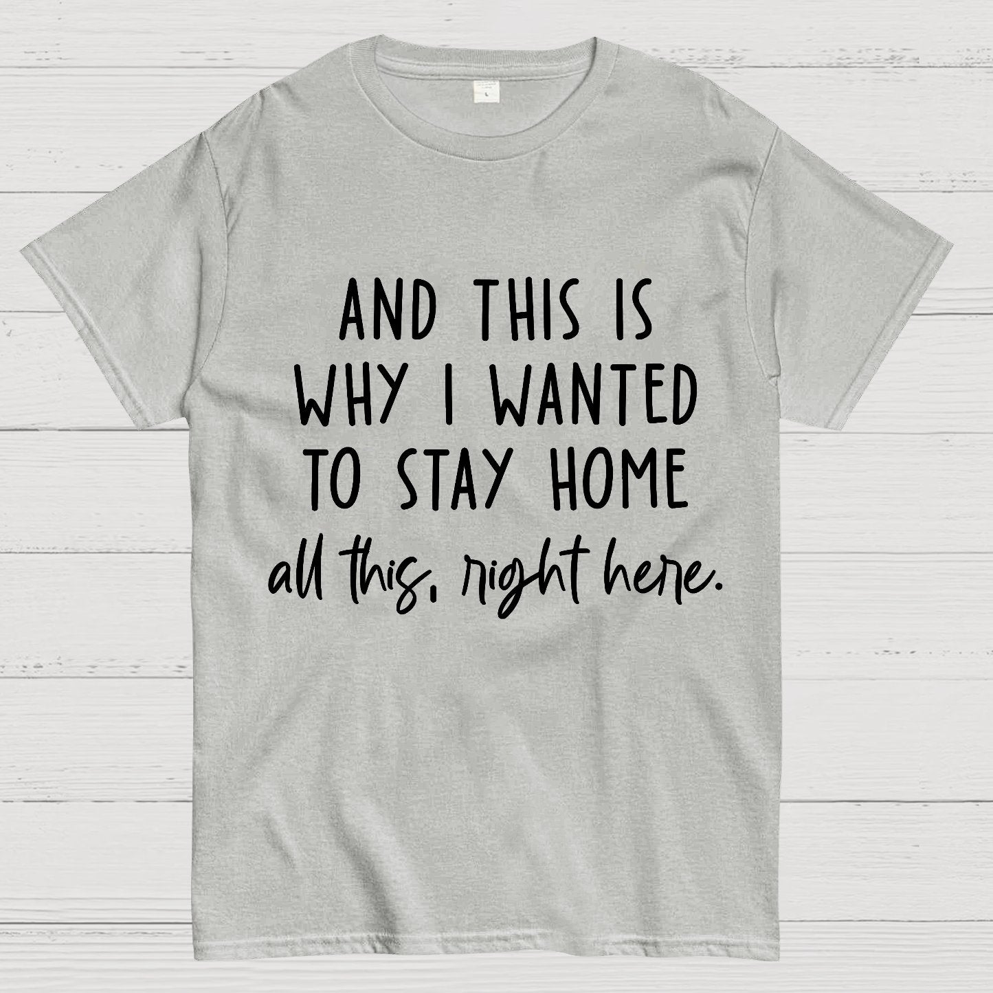 Sarcastic Introvert And This Is Why I Wanted To Stay Home Geek T-Shirt