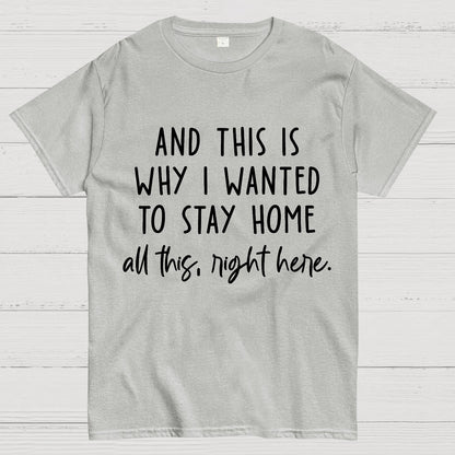 Sarcastic Introvert And This Is Why I Wanted To Stay Home Geek T-Shirt