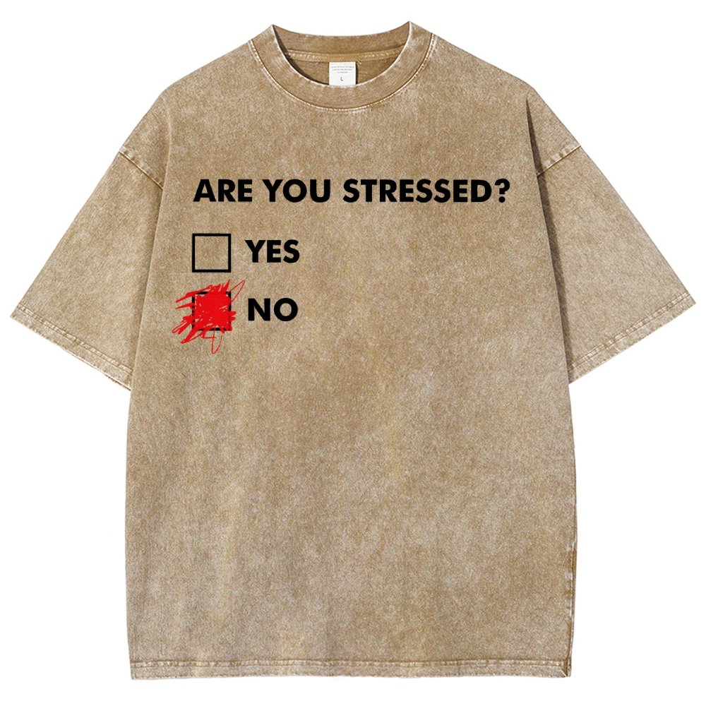Fuuny Word Are You Stressed No Vintage Distressed T-shirt