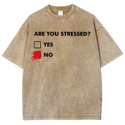 Fuuny Word Are You Stressed No Vintage Distressed T-shirt