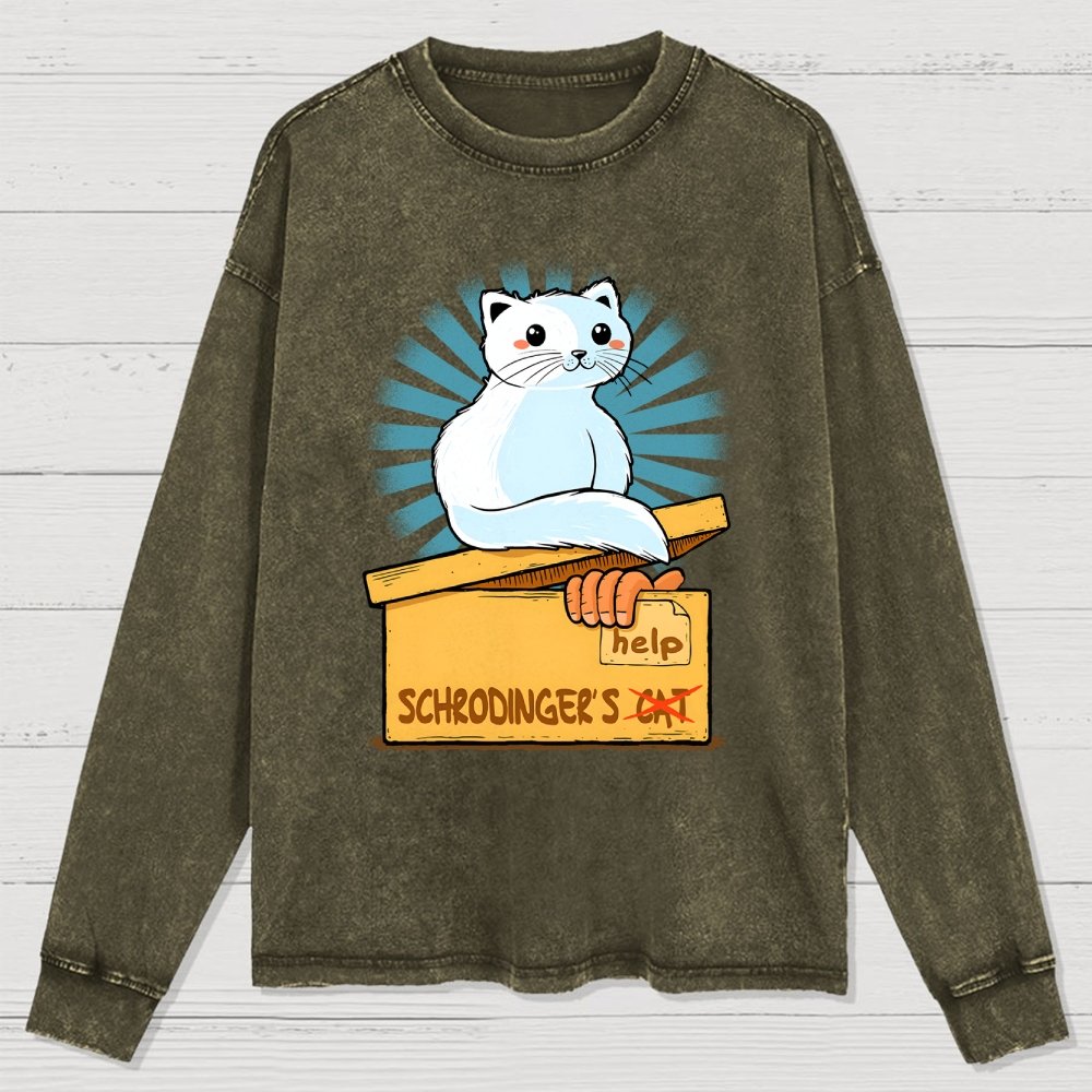 Schrodinger in a Box Washed Long Sleeve Tee