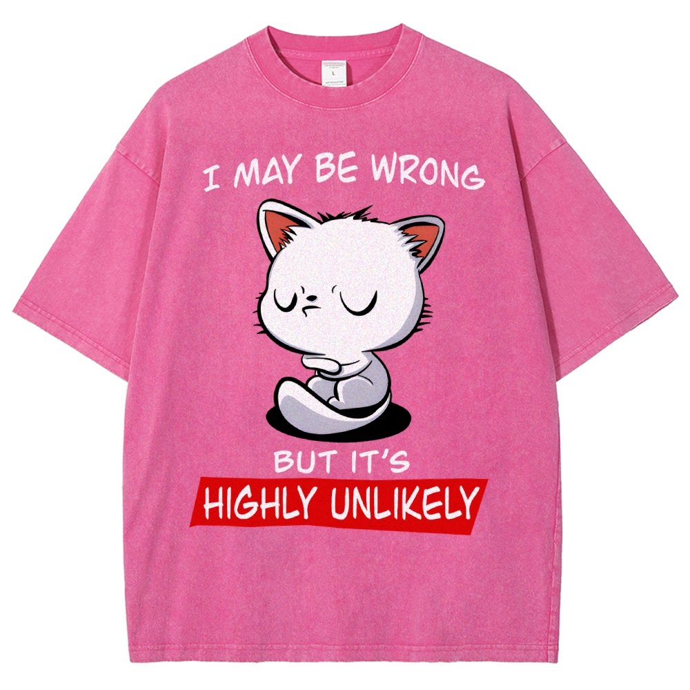 I May Be Wrong Vintage Distressed T-shirt