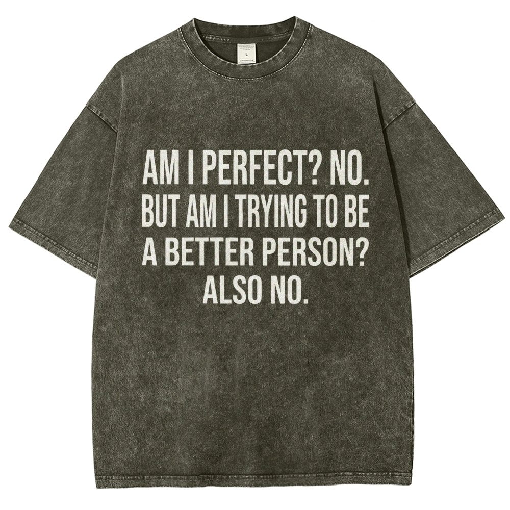 Am I Perfect No But Am I Trying To Be A Better Person Also No Vintage Distressed T-shirt