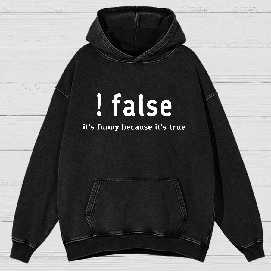 False It's Funny Because It's True Vintage Distressed Hoodie