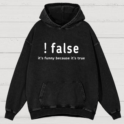 False It's Funny Because It's True Vintage Distressed Hoodie