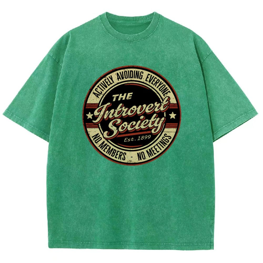 The Introvert Society Vintage Distressed T-shirt