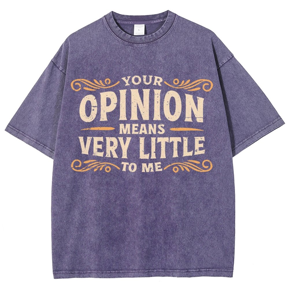 Your Opinion Means Very Little Vintage Distressed T-shirt