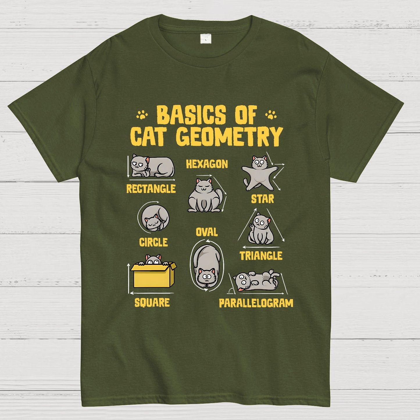 Basics of Cat Geometry Geek T-Shirt