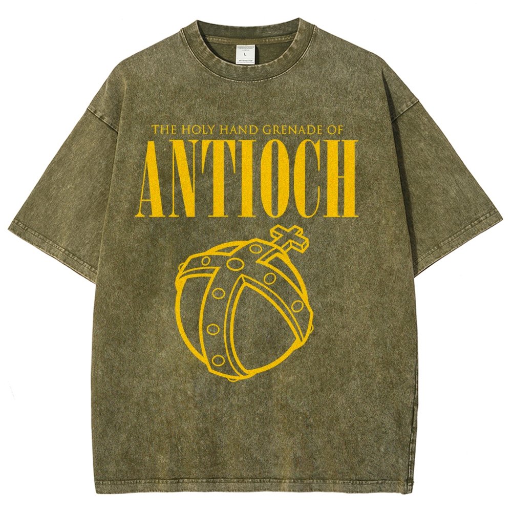 The Holy Hand Grenade of an Ancient Place Vintage Distressed T-shirt