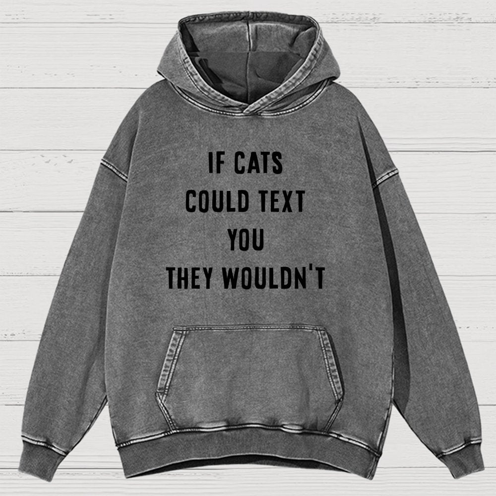 If Cats Could Text You Vintage Distressed Hoodie