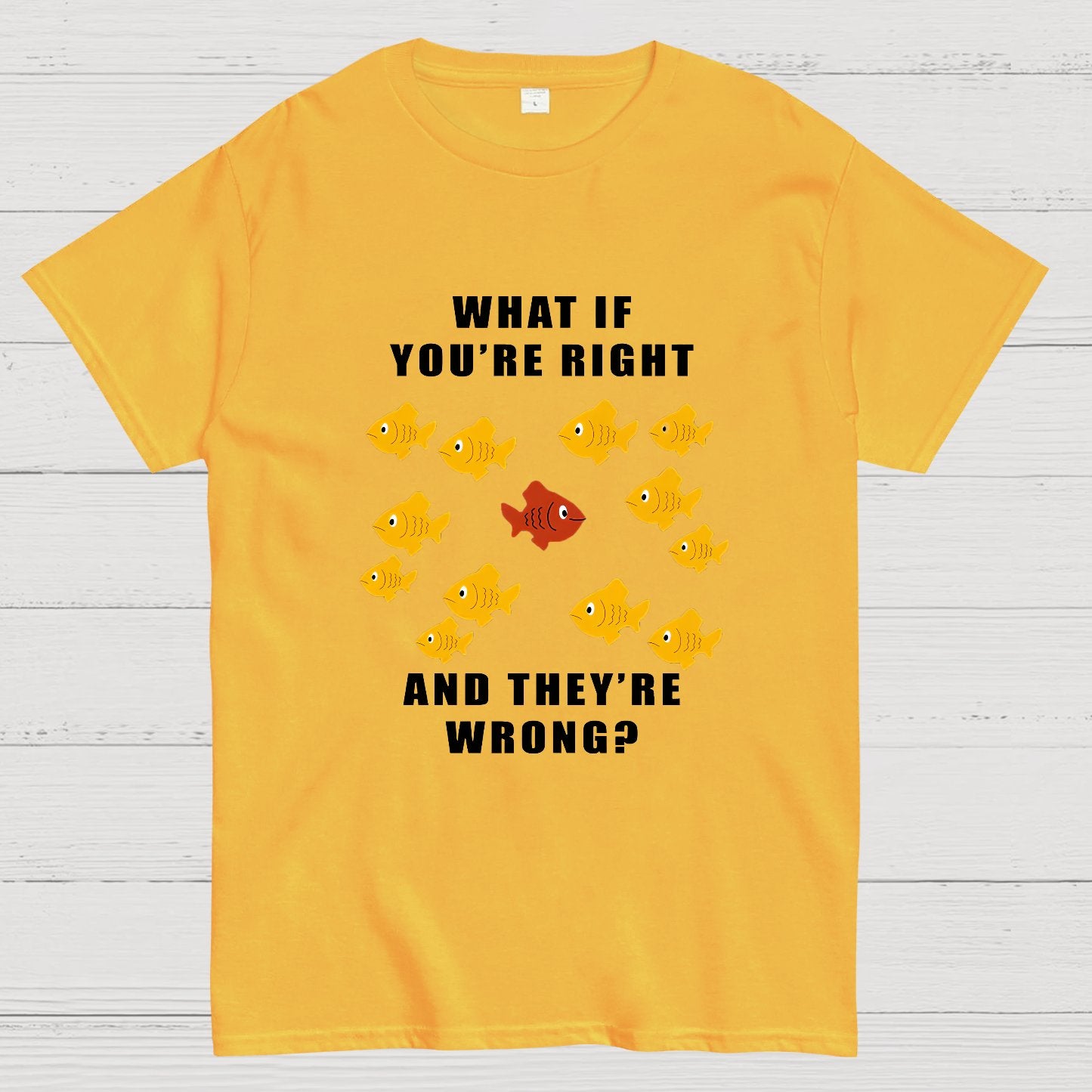 What If You're Right And They're Wrong Geeky T-Shirt