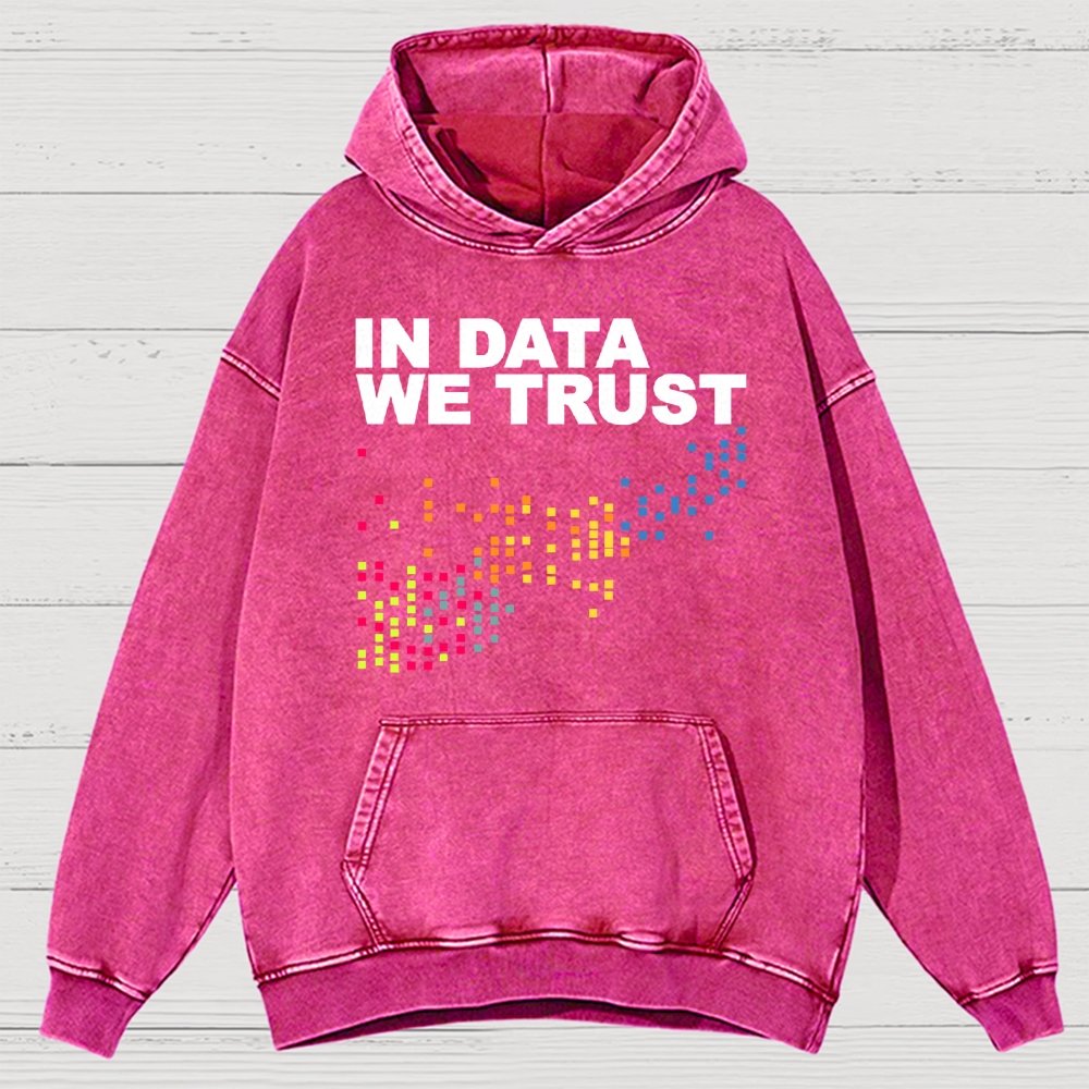 In Big Data We Trust Vintage Distressed Hoodie
