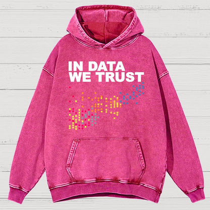 In Big Data We Trust Vintage Distressed Hoodie