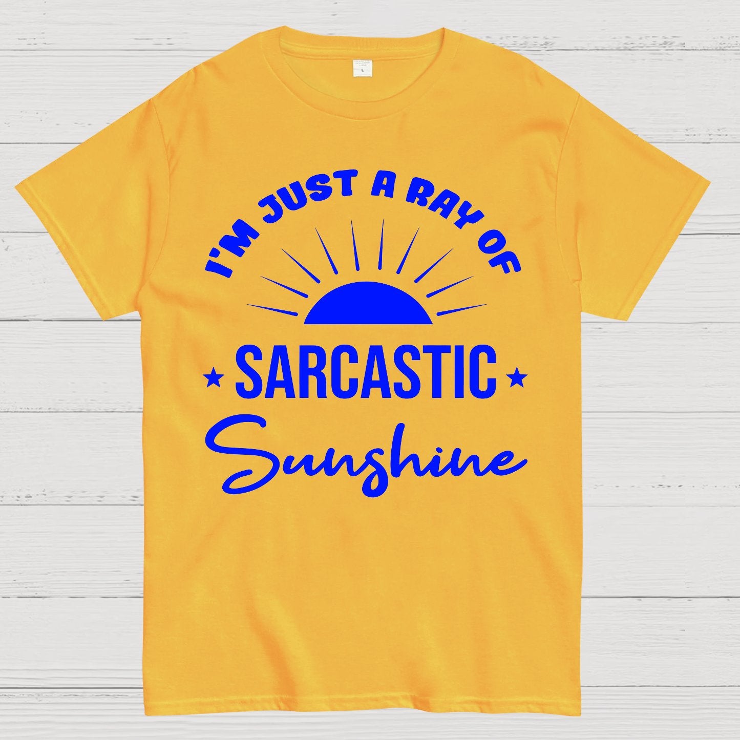 I'm Just A Ray Of Sarcastic Sunshine Funny Sarcastic Sayings Geek T-Shirt