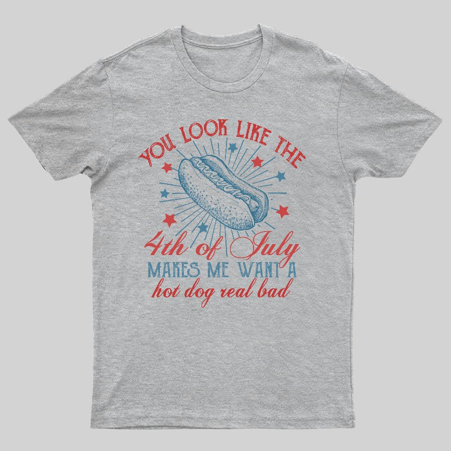 You Look Like the 4th of July Geeky T-Shirt