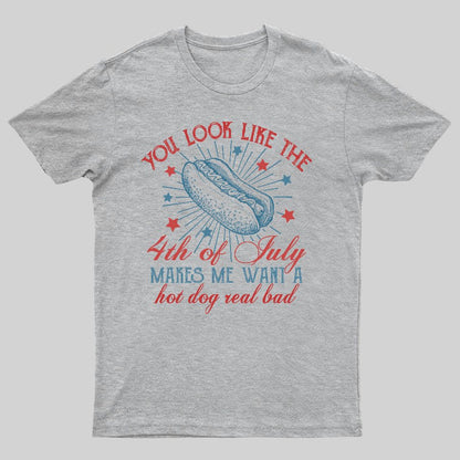 You Look Like the 4th of July Geeky T-Shirt