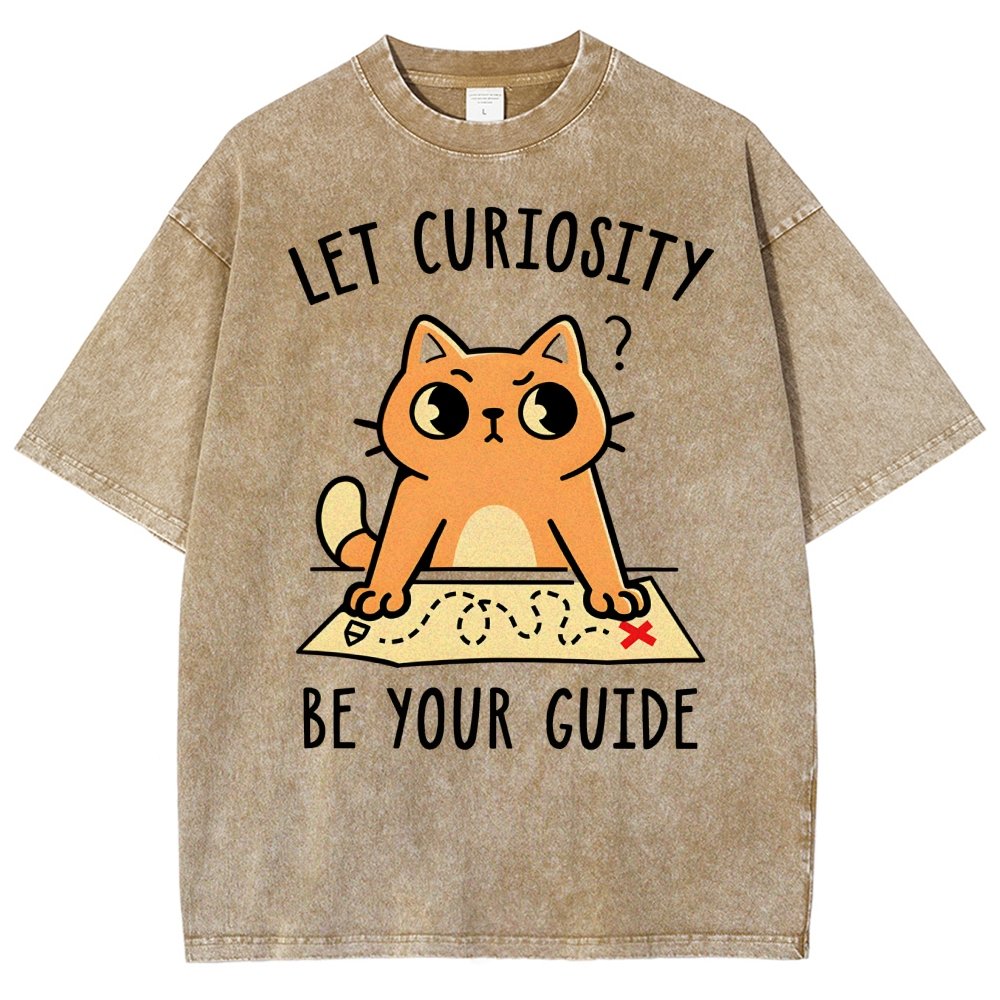 Let Curiosity Be Your Guide Vintage Distressed T-shirt