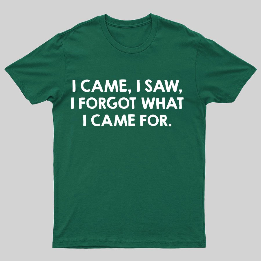 I Came and Saw Funny Geeky T-Shirt
