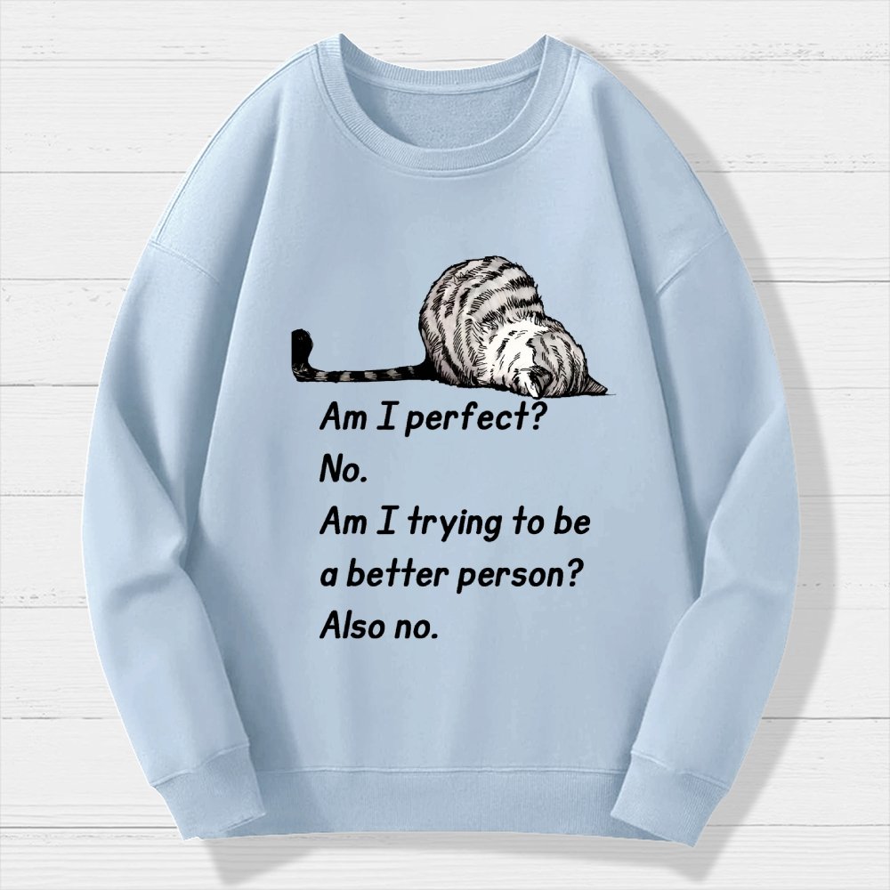 Am I Perfect No Geek Cotton Sweatshirt
