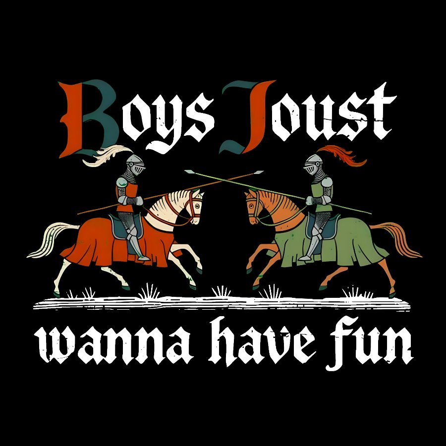Boys Joust Wanna Have Fun Geek T-Shirt