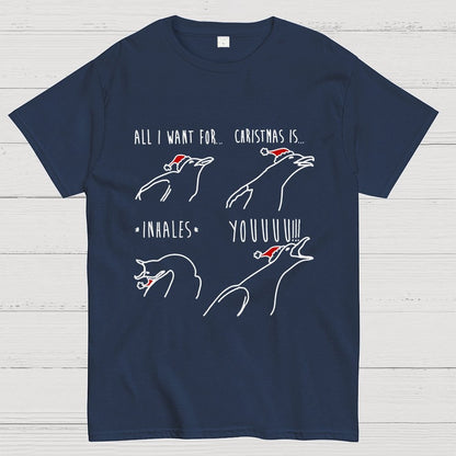 All I Want For Christmas Is You Geek T-Shirt