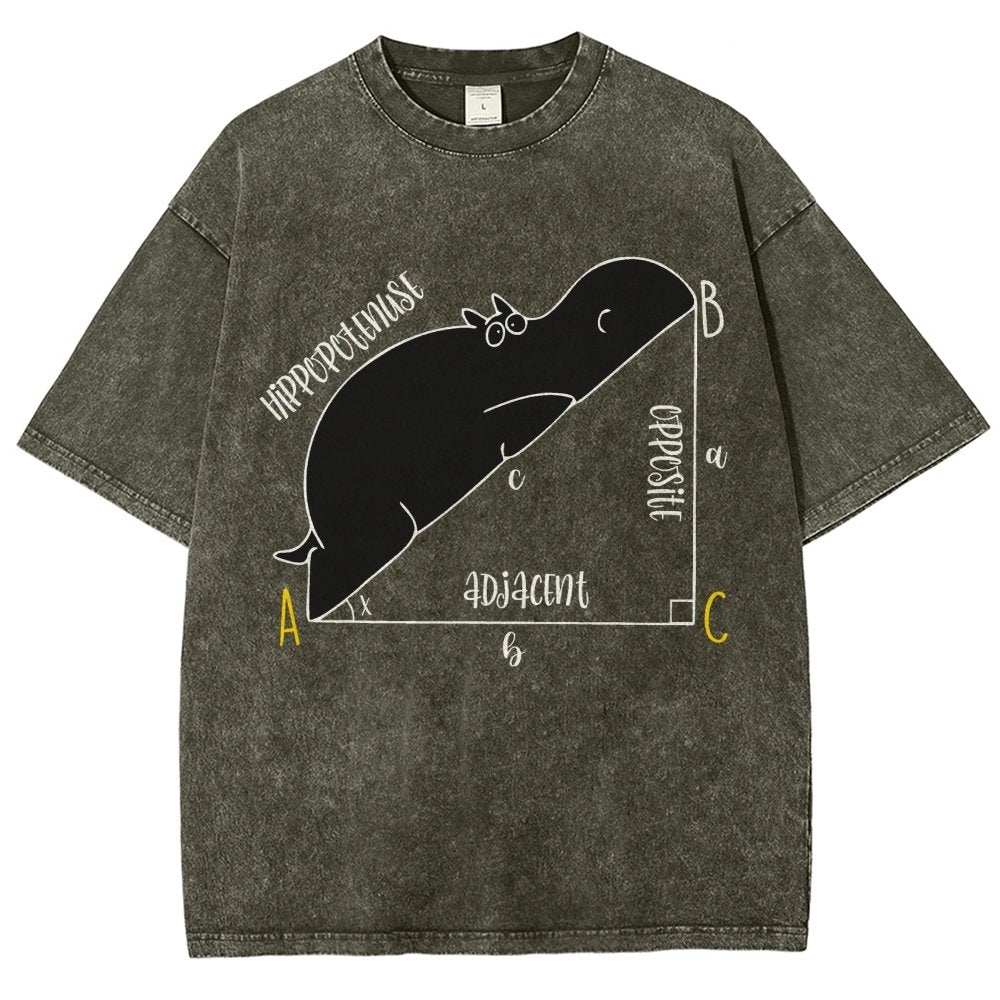 Interesting Math Teacher Math Lover Math Geek Vintage Distressed T-shirt